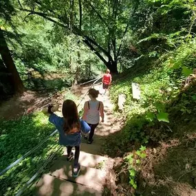 Bild von Santa Cruz Redwoods RV Resort