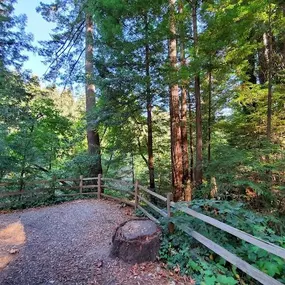 Bild von Santa Cruz Redwoods RV Resort