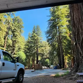 Bild von Santa Cruz Redwoods RV Resort