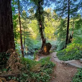 Bild von Santa Cruz Redwoods RV Resort
