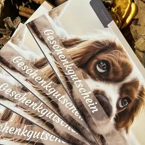 Bild von Hundesalon immerdar - für alle Felle