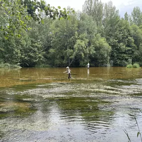 Bild von B&B Puente de Órbigo