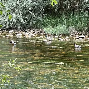 Bild von B&B Puente de Órbigo