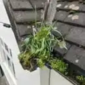 Bild von Vertiworks Services Ltd