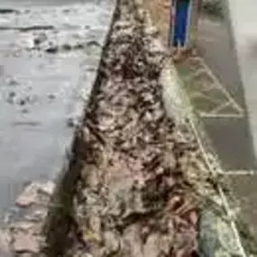 Bild von Vertiworks Services Ltd