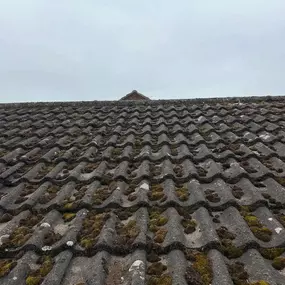 Bild von Vertiworks Services Ltd