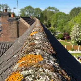 Bild von Vertiworks Services Ltd