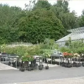 Bild von Ladybird Nurseries