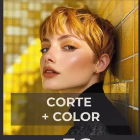 cortecolor36.png