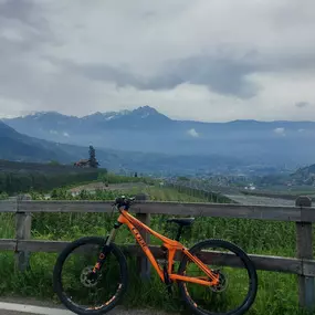 Bild von Bergreiz Touren&Coaching