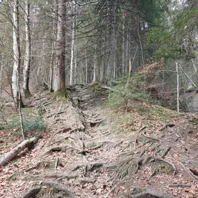 Bild von Bergreiz Touren&Coaching