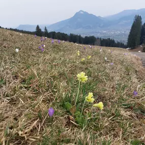 Bild von Bergreiz Touren&Coaching