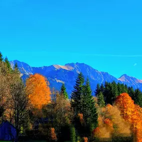 Bild von Bergreiz Touren&Coaching