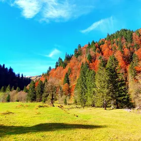 Bild von Bergreiz Touren&Coaching