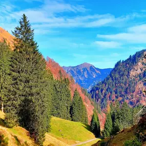 Bild von Bergreiz Touren&Coaching