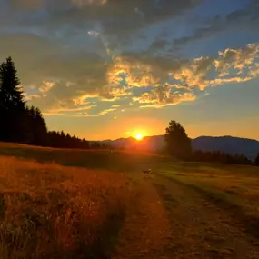 Bild von Bergreiz Touren&Coaching