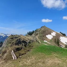 Bild von Bergreiz Touren&Coaching