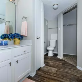 a bathroom with a sink and a toilet