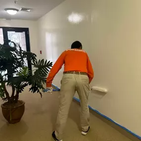 My Painter & Exteriors