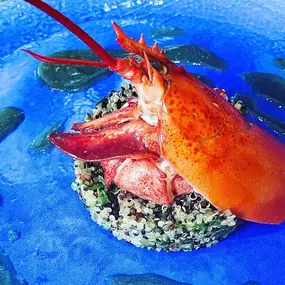 Bild von Mile Chef Catering