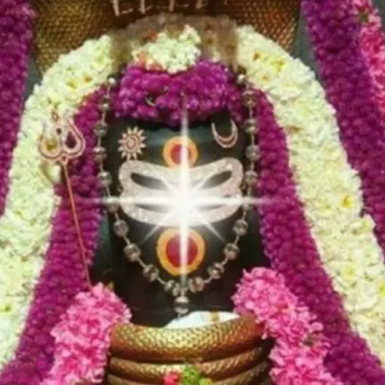 Logo von Goodmayes Sri Siva Shakti Temple