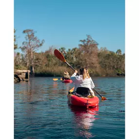 Kayak Eco Tour Down The Peace River