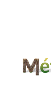 Bild von MétamorFozes - Bilan de Compétences -Coaching - Psychopraticienne - DISC - Formation -