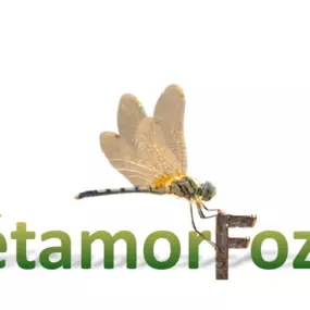 Bild von MétamorFozes - Bilan de Compétences -Coaching - Psychopraticienne - DISC - Formation -