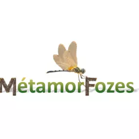 Bild von MétamorFozes - Bilan de Compétences -Coaching - Psychopraticienne - DISC - Formation -