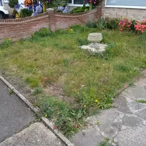 Bild von Green Dreams Gardens Thanet