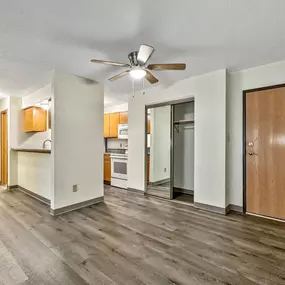 Room with spacious closet