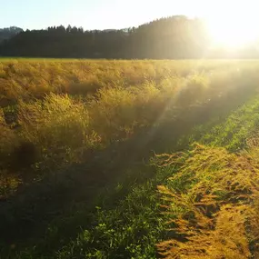 Bild von Biohof Schär Matthias & Corinne