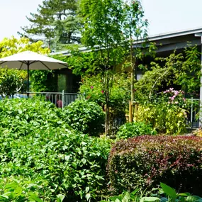 Bild von Springfield Care Bath