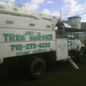 Bild von JR'S Tree Service