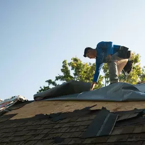 Bild von Transform Charleston Roofing, Siding & Gutters