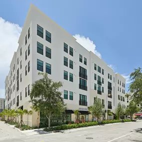 Bild von Vine on Clematis