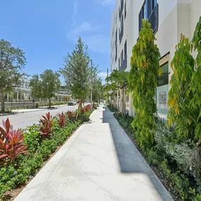 Bild von Vine on Clematis