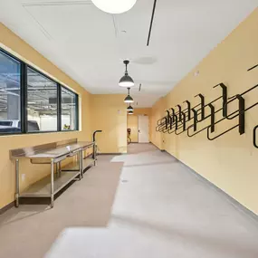 Bild von Vine on Clematis