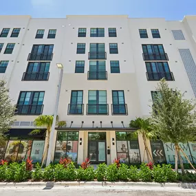 Bild von Vine on Clematis