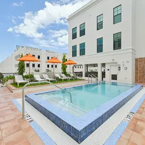 Bild von Vine on Clematis