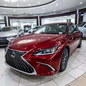 Bild von Lexus of Kendall