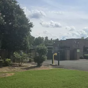 Alternate Beauty Image