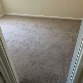 Mink twist pile carpet fitted in a bedroom