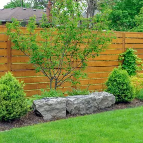 Bild von Pisani Landscaping