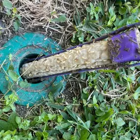 Termites actively consuming the Sentricon® bait stations. Don't let termites damage your property. Our Sentricon bait stations are working hard to eliminate them.