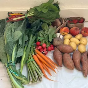 Bild von Manna Market Organic Produce Co Op & CSA