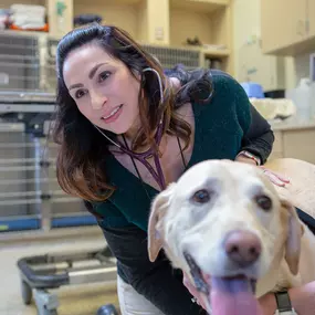 Bild von VCA Sacramento Veterinary Referral Center