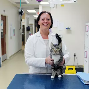 Bild von VCA Sacramento Veterinary Referral Center