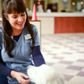 Bild von VCA Sacramento Veterinary Referral Center