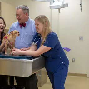 Bild von VCA Sacramento Veterinary Referral Center